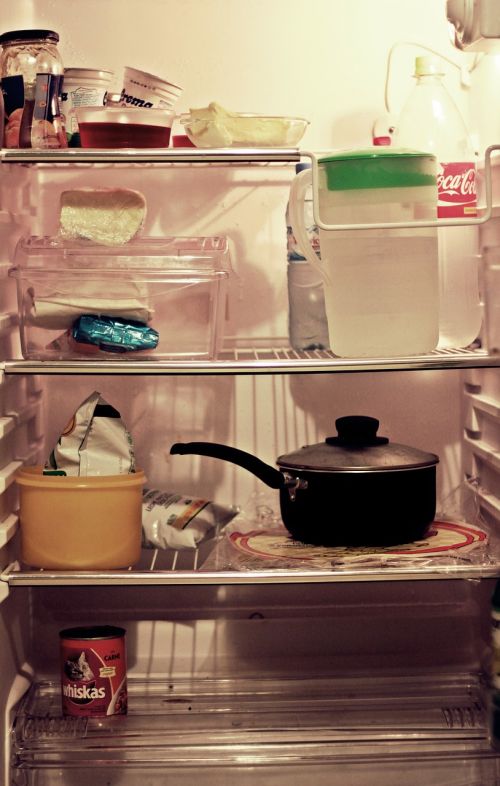refrigerator food