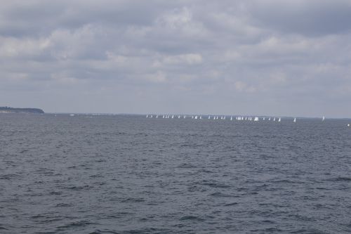 regatta sail boats