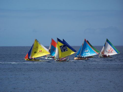 regatta guadeloupe boats
