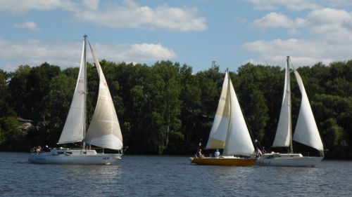 regatta sail yacht