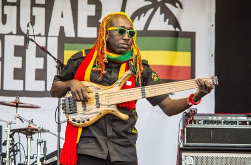 reggae musician concert