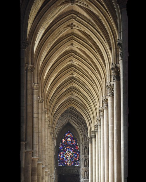 reims  cathedral  vaults