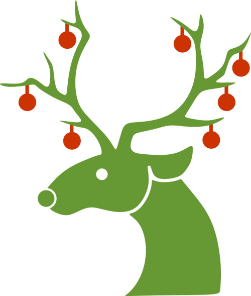 reindeer christmas winter