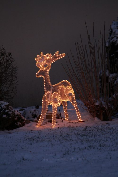 reindeer christmas santa