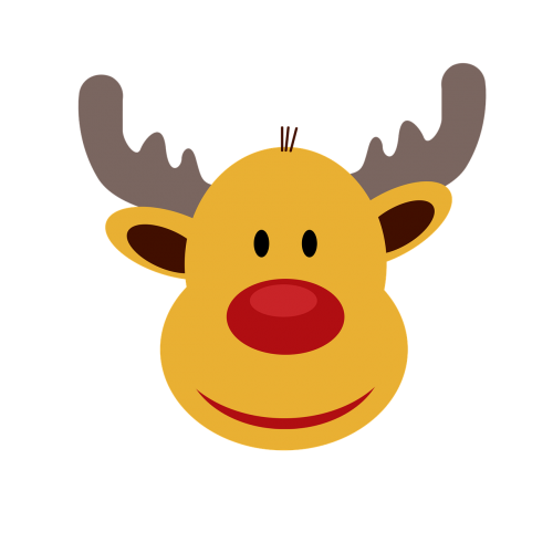 reindeer christmas festivals