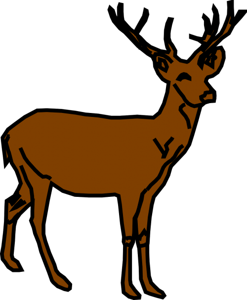 reindeer deer animal