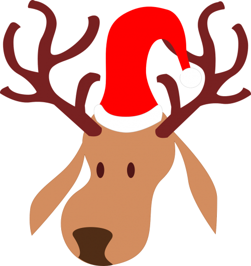 reindeer christmas holiday