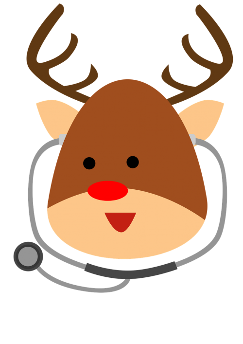 reindeer doctor animal