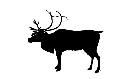 reindeer black silhouette
