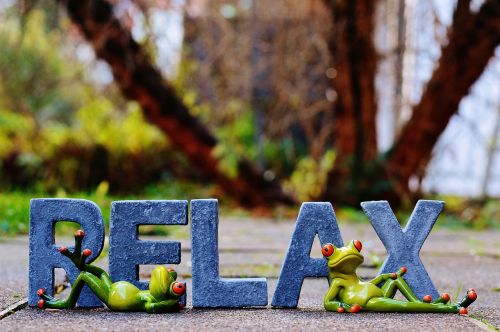 relax frogs rest