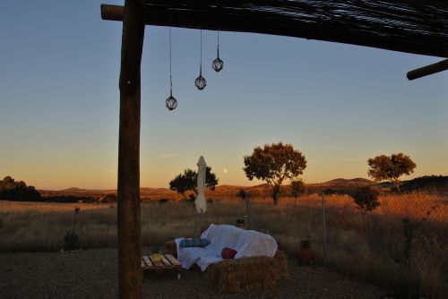 relax sunset outdoor