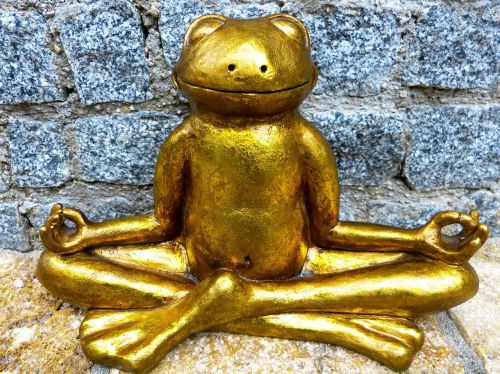 relaxation meditation frog