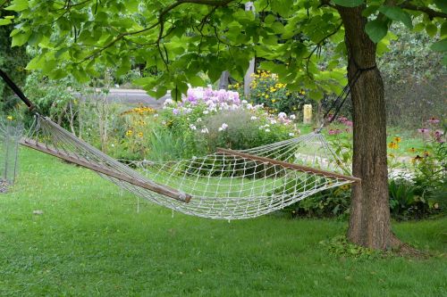 relaxation hammock rest