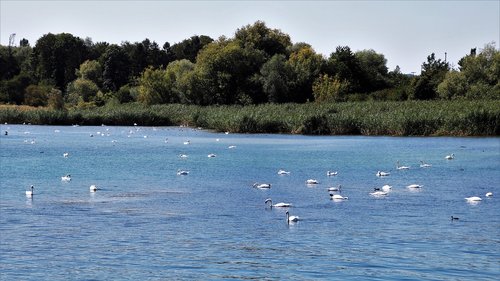 relaxation  on the water  lake