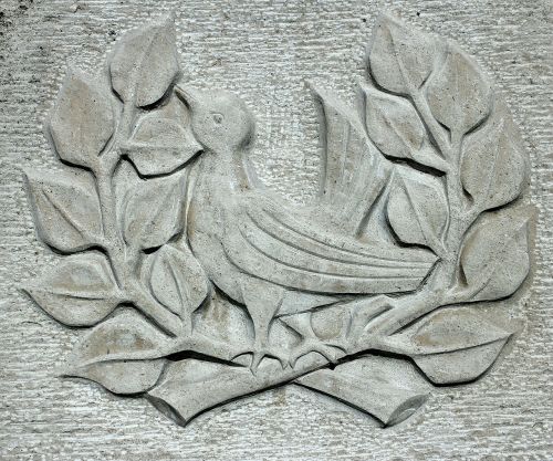 relief dove branch