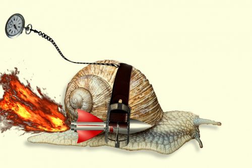 Racing Snail