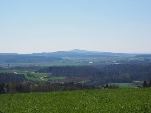 reported fields lauterach