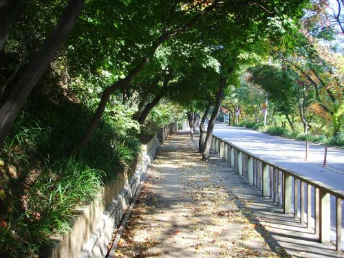 republic of korea road landscape