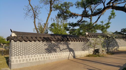 republic of korea stone wall pine