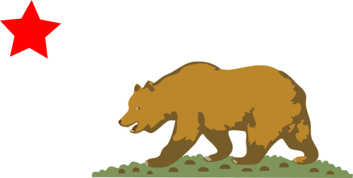 republicans usa bear