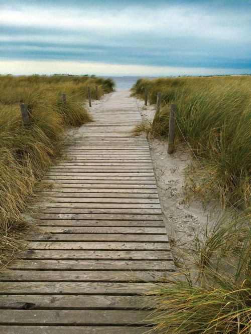 rerik to the beach dunes