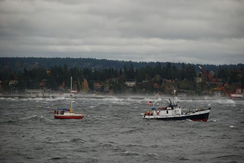 wind storm rescue