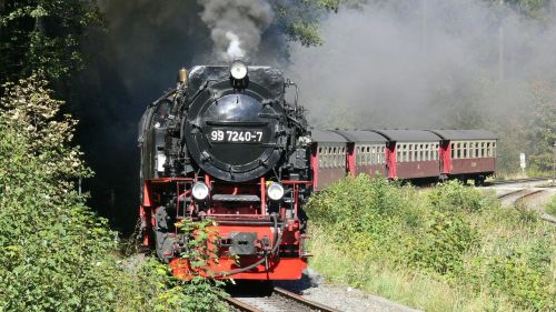 resin boulder steam locomotive