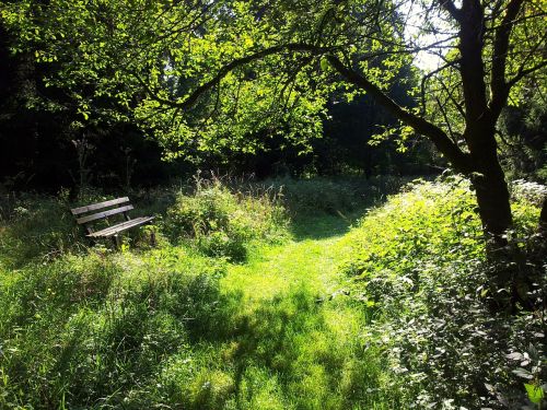 resin nature hike