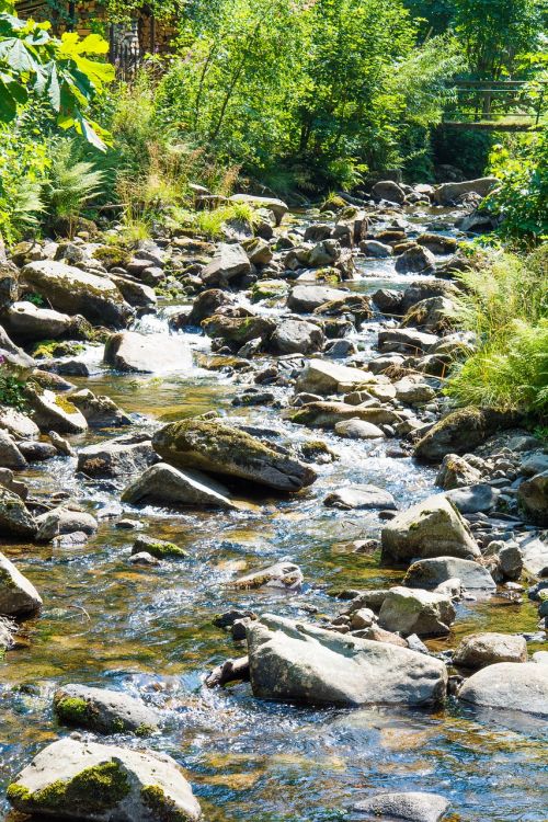 resin boulder bach