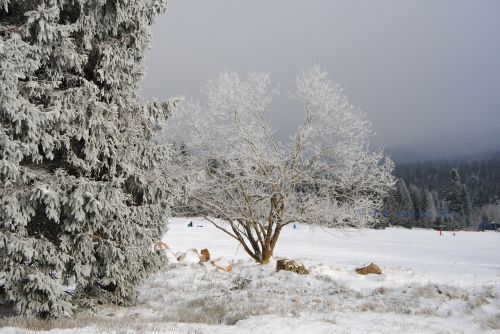 resin torfhaus winter