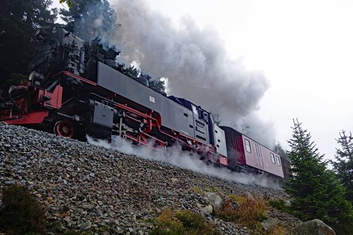 resin  steam locomotive  narrow gauge railway
