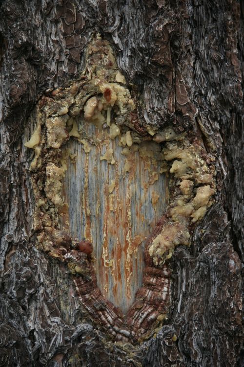 resin tree trunk