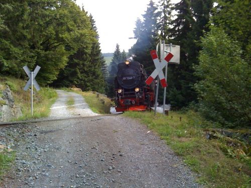 resin narrow gauge train crossroads