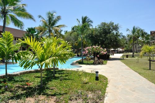 resort holiday swimming pool