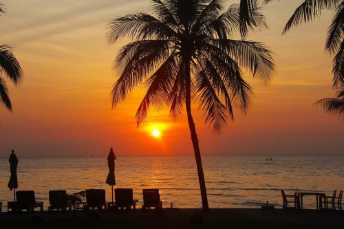 resort hotel beach