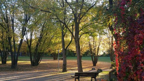 rest park leaves