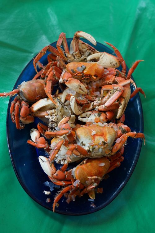 crab plate meals