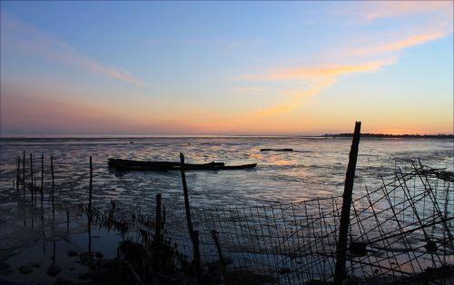 Fence At Sunset