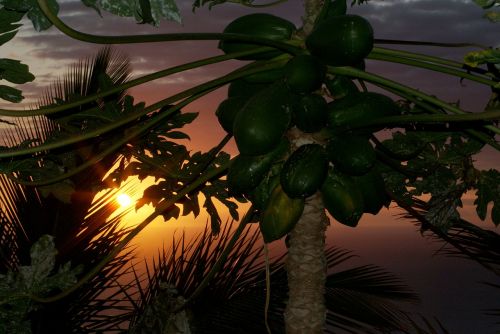 reunion island sunset evening