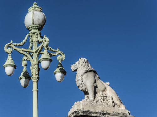 reverberatory metal statue lion