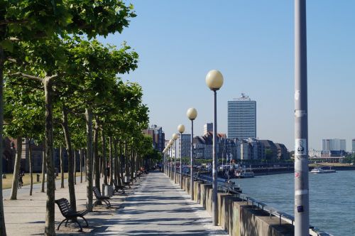 rhein summer dusseldorf