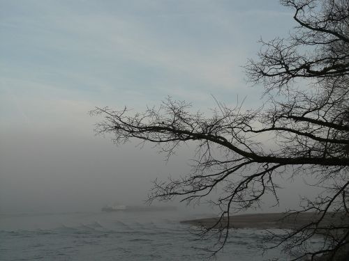 rhine fog riverside
