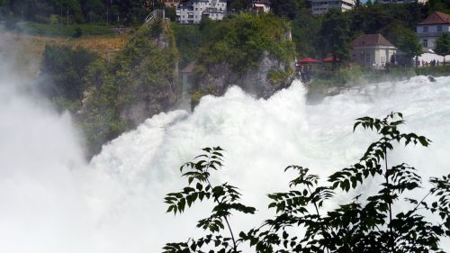 rhine waterfall schaffhausen