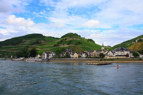 rhine  nature  river