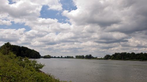 rhine water river landscape
