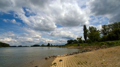 rhine water river landscape