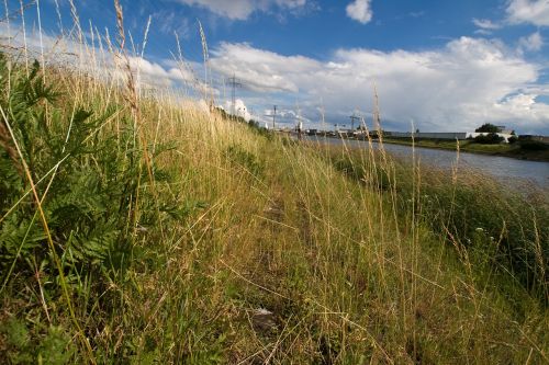 rhine water river landscape