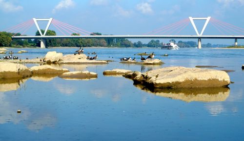 rhine düsseldorf bridge