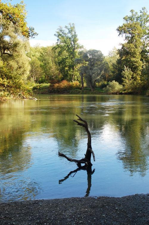 rhine rastatt rheinauen