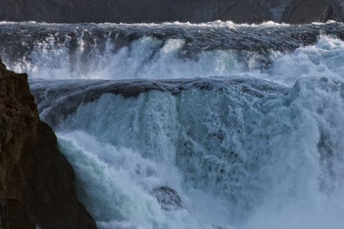 rhine falls water mass roaring